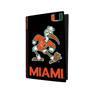 Miami Hurricanes PS5 VarsityWrapz