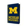Michigan Wolverines PS5 VarsityWrapz