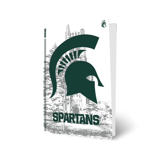 Michigan State PS5 VarsityWrapz - Premium quality design detail