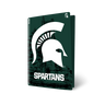 Michigan State PS5 VarsityWrapz